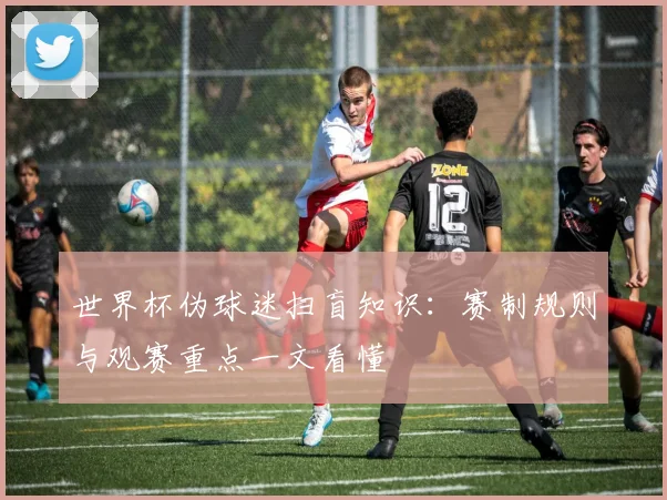 世界杯伪球迷扫盲知识:赛制规则与观赛重点一文看懂
