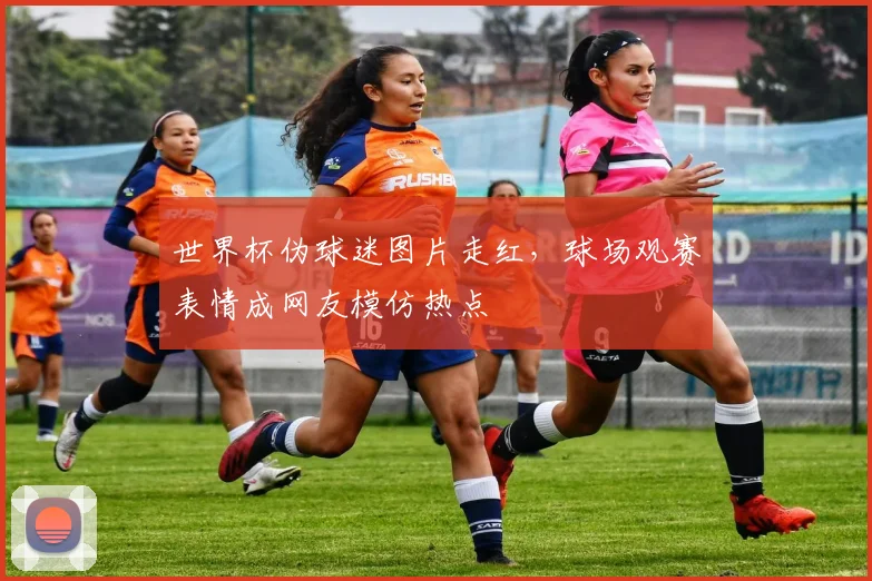 世界杯伪球迷图片走红，球场观赛表情成网友模仿热点