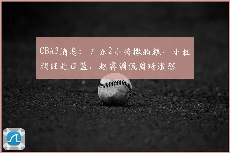 CBA3消息：广东2小将撒狗粮，小杜润旺赴辽篮，赵睿调侃周琦遭怼