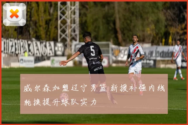 威尔森加盟辽宁男篮 新援补强内线轮换提升球队实力