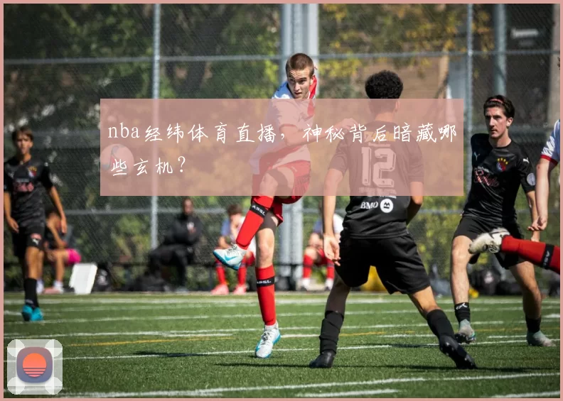 nba经纬体育直播,神秘背后暗藏哪些玄机?