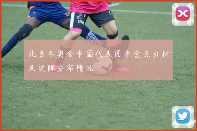 北京冬奥会中国代表团夺金点分析及奖牌分布情况