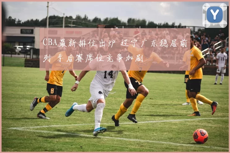 CBA最新排位出炉 辽宁广东稳居前列 季后赛席位竞争加剧