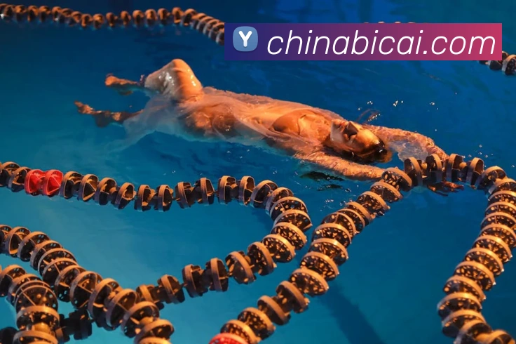 体育赛事直播